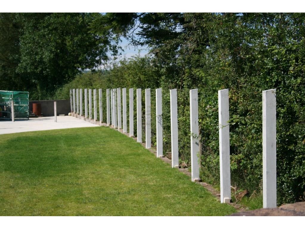 Concrete Fencing Post Belfast, Cement fence Post for Timber, Timber